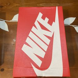 PANDAS Size 9.5 NIKE LOW RETRO