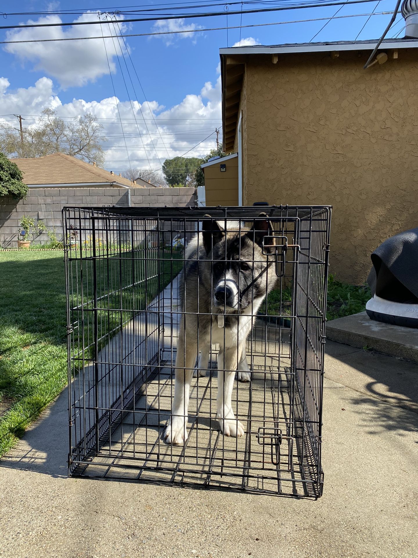 Dog kennel