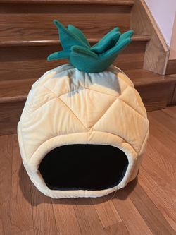 Pet Bedding, Pineapple House