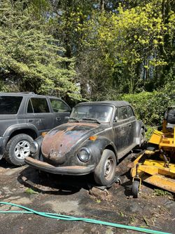 1979 VW Bug convertible