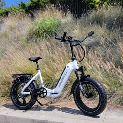 Folding Electric Bike For Taller rider