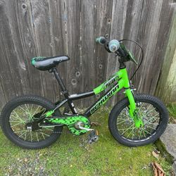 FREE Boys Schwinn Piston Bike-Green