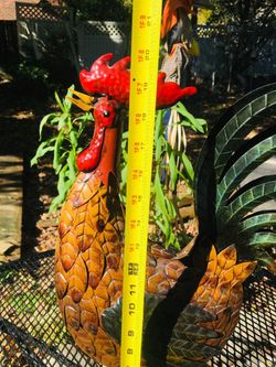 Cocky Rooster...