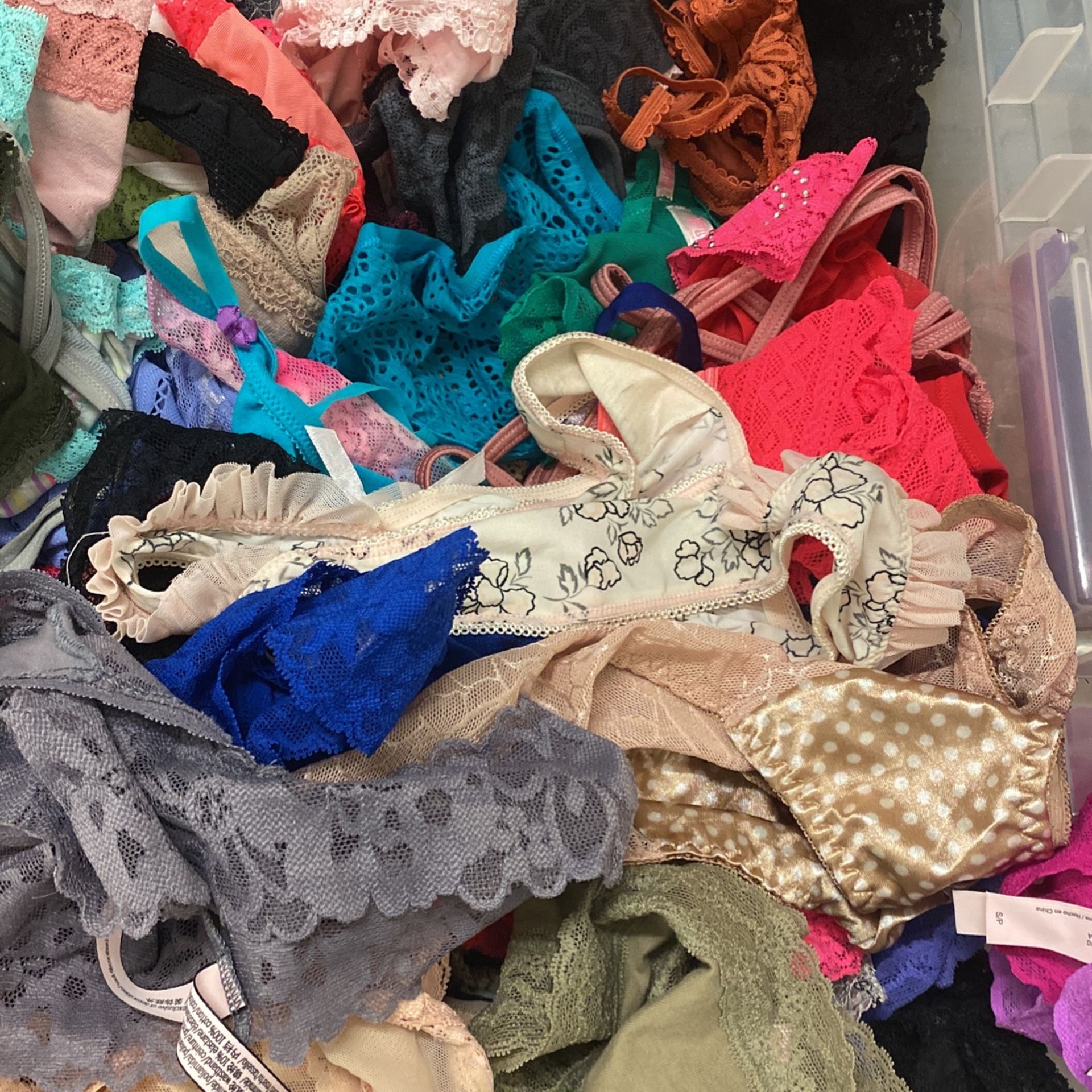 Panties