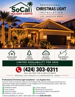 Xmas Light installation
