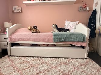 Twin upholstered day bed with trundle