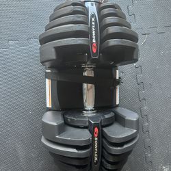 Bowflex 1090 Single Dumbbell