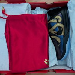 Kobe 5 Year Of The Mamba Men's 9.5