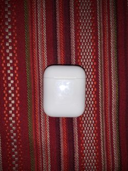 APPLE AIRPOD CASE (without the actual airpods)