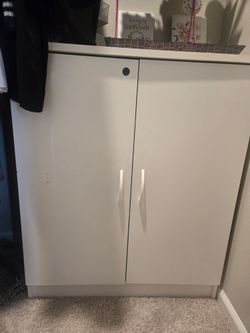 Cabinet with 3 Shelves