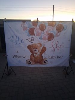 Gender reveal banner "he or she what will baby be"