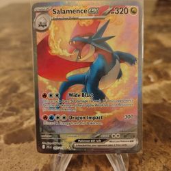 Salamence ex SIR🔥