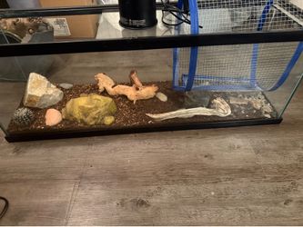 Large capacity reptile tank and tank accessories
