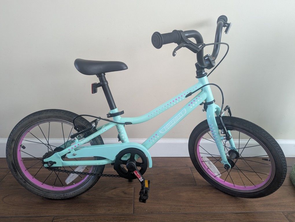 Kid's Guardian Bike $125