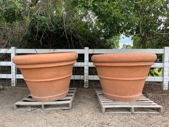 Terracotta Pots
