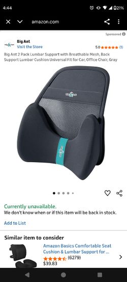 Multi Functional Lumbar Support