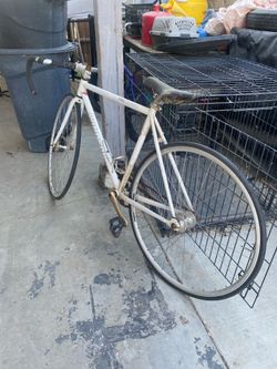 fixie