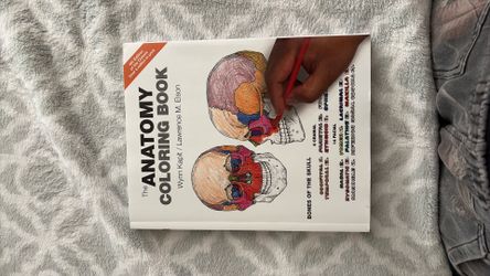 The Anatomy Coloring Book