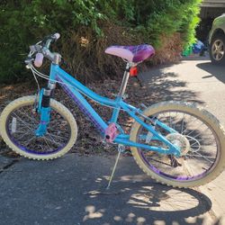 Sterling Bicycle 20 Inch Wheels, Kids Bicycle