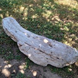 Natural Driftwood Aquariums Terrariums Decor