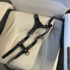Small Dog Harness 