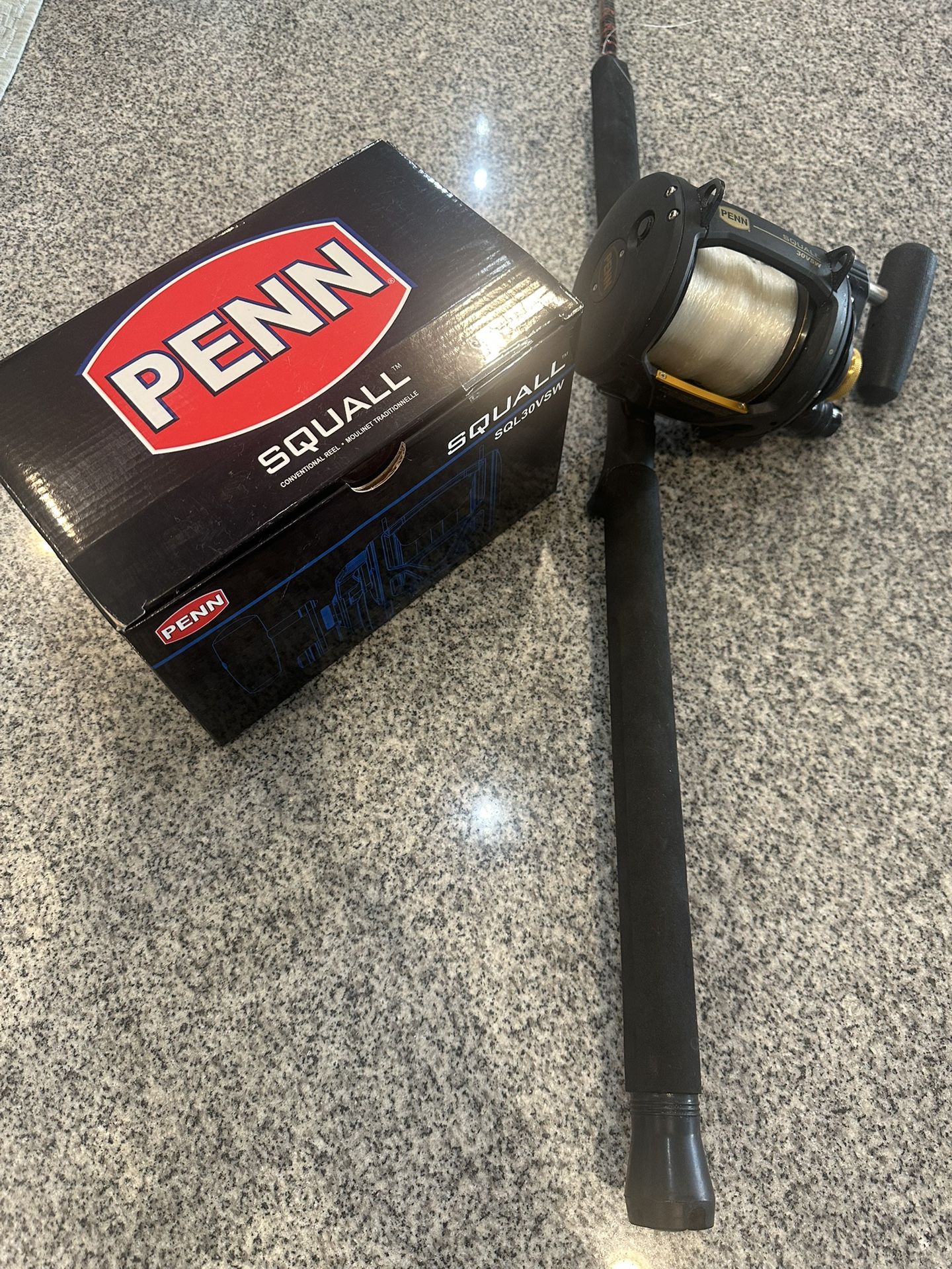 Penn 30vsw Reel/ Penn Rampage Rod Combo