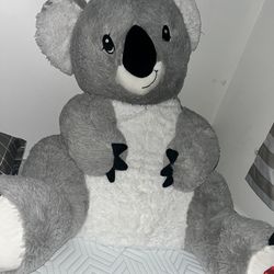 koala bear plush
