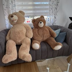  5 Ft And 4 Ft Teddy Bear For Your Loved One ! 