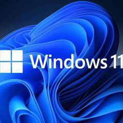 Windows 11 Professional Install USB