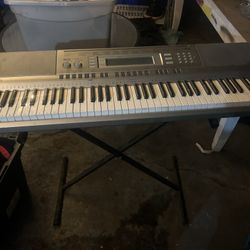 Casio Wk-200 Keyboard 