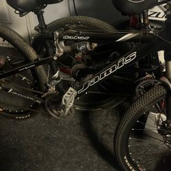Janis Mountain Bike
