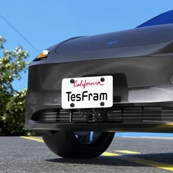 Tesla License Plate Mount
