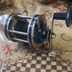 Dolphin Olympic 621 – Lw