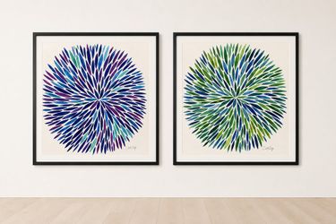 Pair of Cat Coquillette Watercolor Burst Framed Prints 31x31 $250