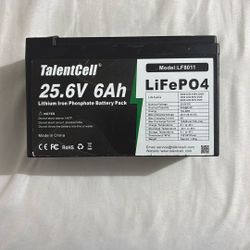 TalentCell 25.6V 6ah Lithium Iron Phosphate Battery