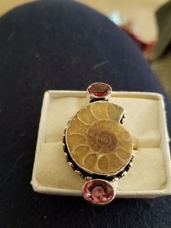 Ammonite ring