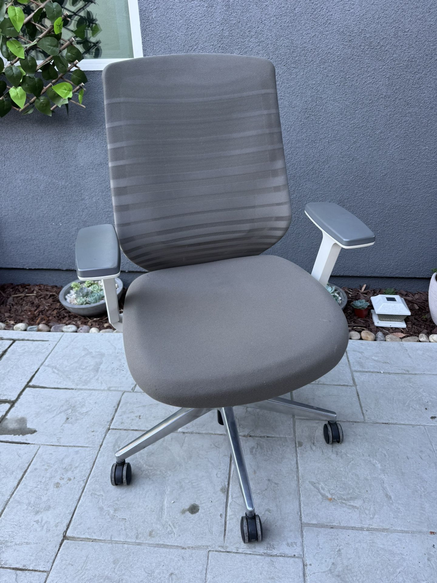 Branch ergonomic Office Desk Chair