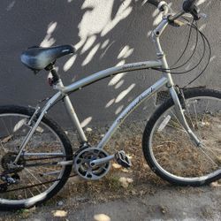 Schwinn And Diamondback Bicycles