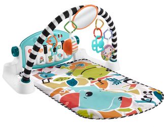 baby Play Gym