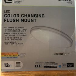 Led Collar Changing Flush Mount 