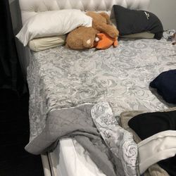 Queen Bed