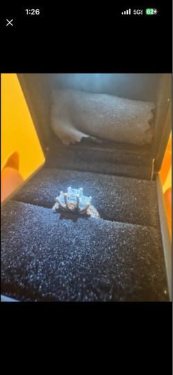 Engagement Ring