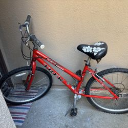 Womens Bike Red In Color