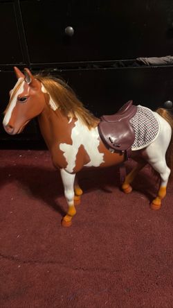 our generation horse
