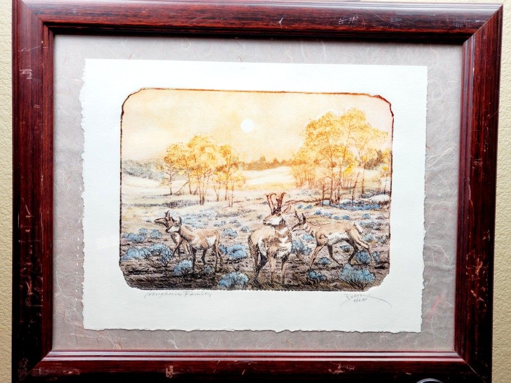 Roy Purcell Rare Numbered Artist Proof Etching 4/10-Pronghorn Family-Framed