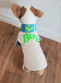 Ropa Nueva Para Mascotas