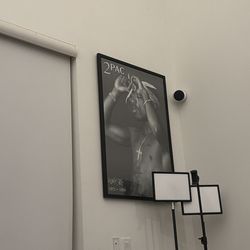 Tupac framed