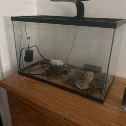 Betta Fish Tank 