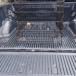 XL Dog Crate