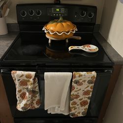 Electric Stove